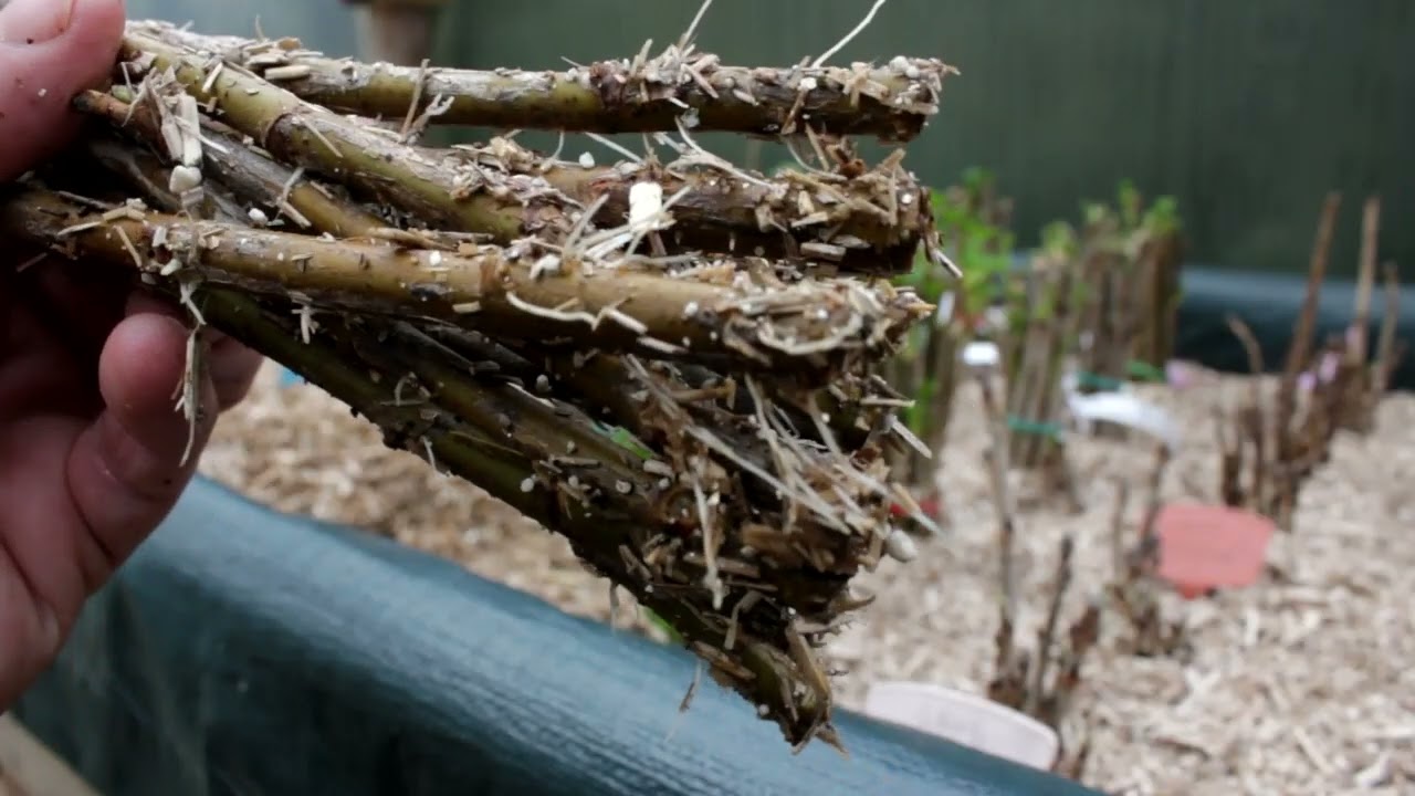 table à bouture simple et efficace