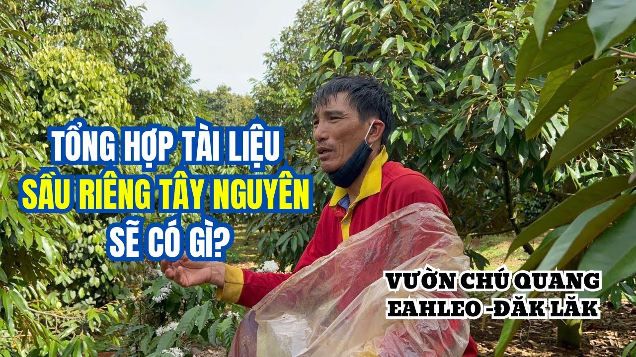 TÀI LIỆU VỀ SẦU RIÊNG TÂY NGUYÊN