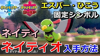 ネイティオ Youtube
