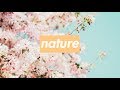 GROWTH IN NATURE- Photoshoot bts