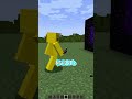 ネザーポータルでだます