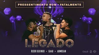 LEGADO: Gaab, Rodriguinho e Ah!Mr.Dan - Pressentimento / Fatalmente  (part. Livinho) [DVD AO VIVO]