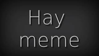 Hay meme (Я ЖИВ СКА)