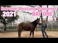 DAY ONE! Part One | Extreme Mustang Makeover 2021