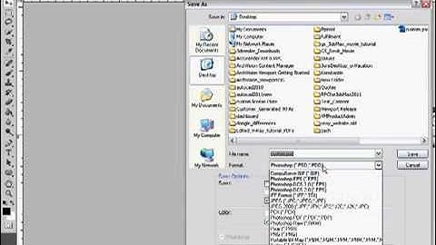 ArchVision  Custom License Plates
