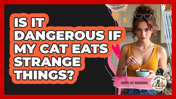 Is It Dangerous If My Cat Eats Strange Things?