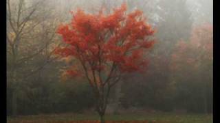 Peter Hammill- Autumn chords