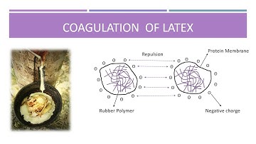 NATURAL RUBBER : LATEX COAGULATION, PREVENTION METHODS AND VULCANISED RUBBER