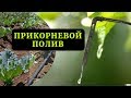 Монтаж прикорневого капельного полива. Регулируемые капельницы для горшков..