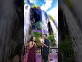 @hello guys