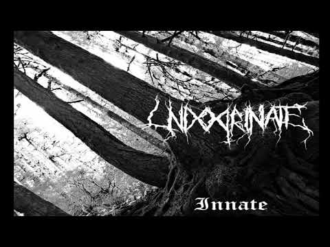 Undoctrinate - Innate (Full-length : 2017)