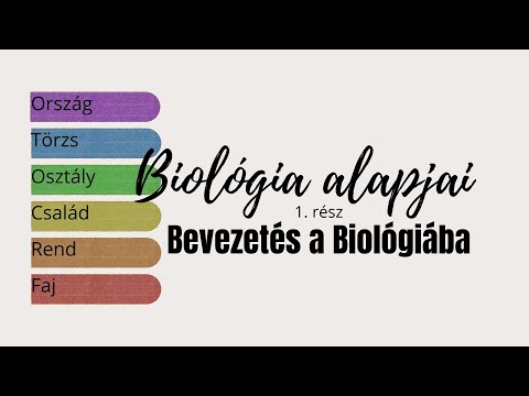 Videó: Milyen szintjei vannak a biológiai szerveződésnek?