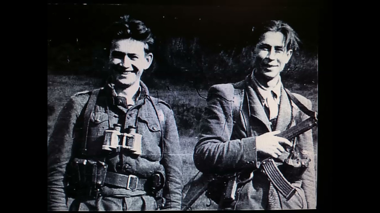 Нам не страшний червоний гніт(Повстанська)#повстанськіпіснi#українськийрок#новамузика#підпишись