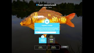 РР4.Оз.ЯНТАРНОЕ.ТРОФЕИИ.🐠РЕДКИЙ ТРОФЕЙ КАРПА ЗЕРКАЛЬНОГО.РАЗМОТ!!!!ФАРМ 🐟🐟🐟