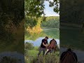 لملم العيش الشتات اكسبلور Explore شيلات شعر Horse Grill خيل لملم العيش الشتات اكسبلور Explore شيلات شعر Horse Grill خيل