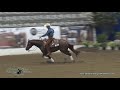 High rolling spook ridden by nathan piper   2018 nrbc open prelims