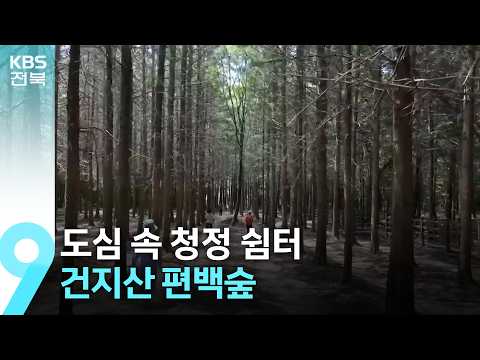 [영상] 도심 속 청정 쉼터, 건지산 편백숲 / KBS  2026.07.03.