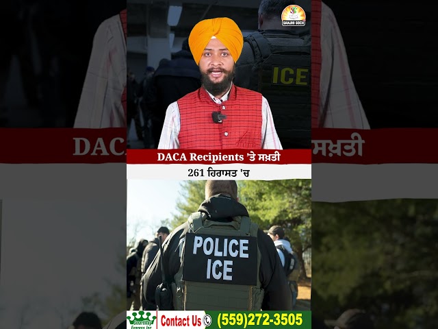 DACA recipients ’ਤੇ ਸਖ਼ਤੀ 261 ਹਿਰਾਸਤ 'ਚ #shorts #trendingshorts #viralshorts