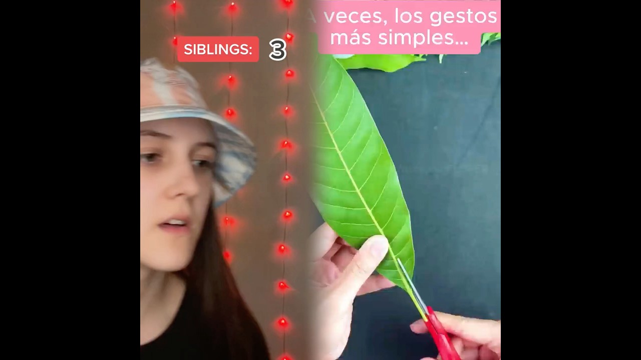 Reply to @amelietpovs 