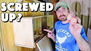 Nesting Box For Chickens. Our BIG MISTAKE That You Should Avoid!