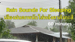 Rain Sounds for Sleeping เสียงฝนตกหนักใส่หลังคาสังกะสี เสียงดังฟังชัดยาวนาน 60 นาที asmr sounds
