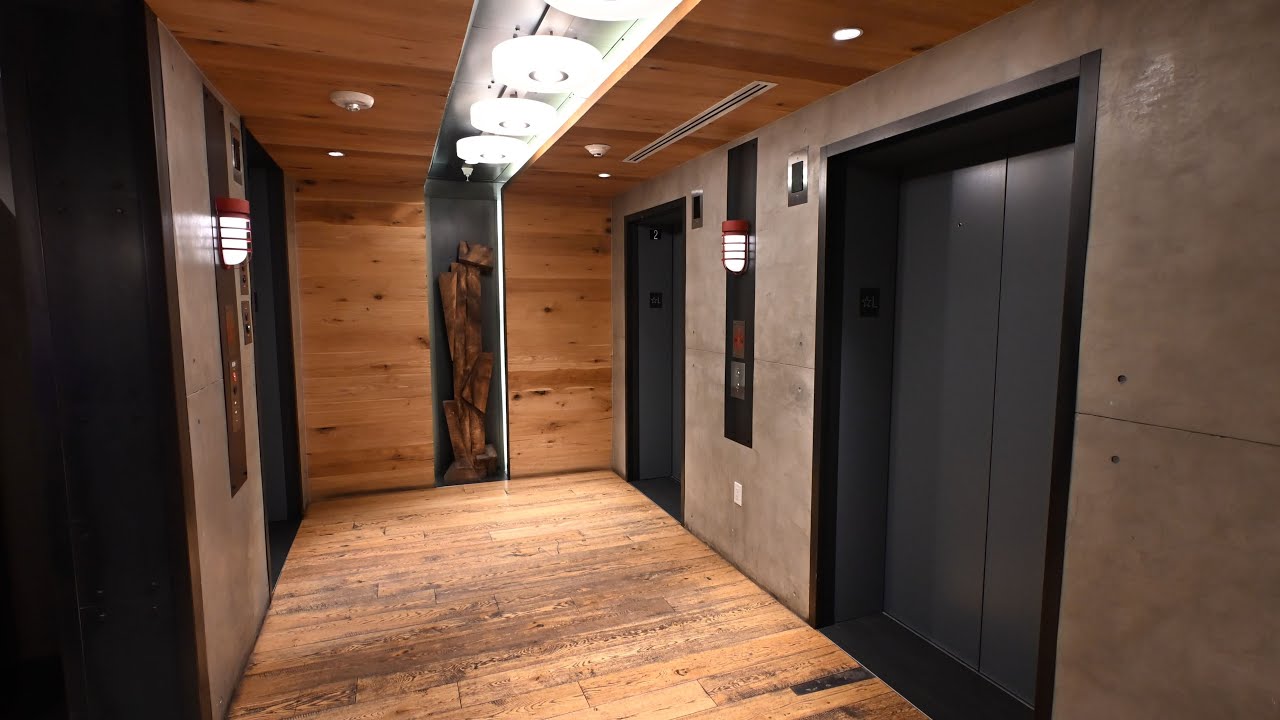 Gallery image with a fresh perspective