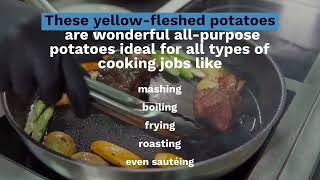 All You Need to Know About Yummy & Tasty Yukon Chips