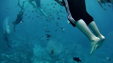 Apeman A80 snorkeling in Cozumel