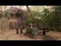 3 Hour – Assassin’s Creed Mirage - Small Courtyard with Fountain Ambience