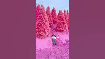 Most Beautiful Places In South Korea Nature Travel Southkorea 