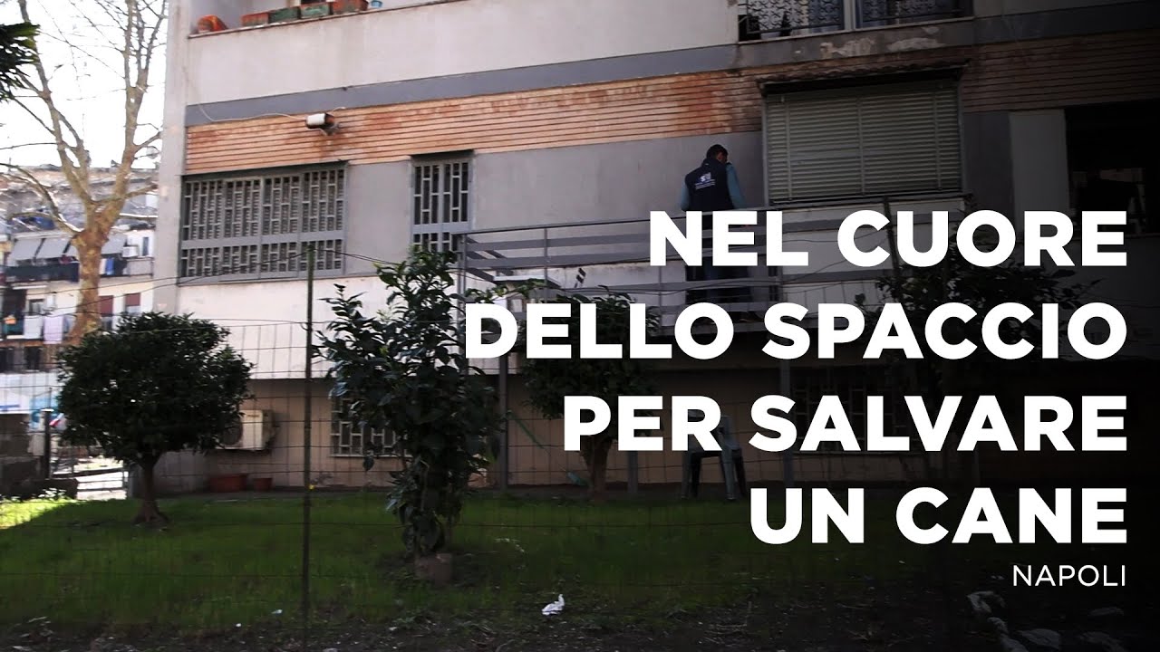 QUELLO CHE È SUCCESSO E CHE VEDRETE HA DELL’INCREDIBILE 