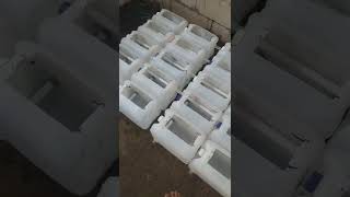 TEMPAT BUAT BUDIDAYA KEPITING DI RUMAH