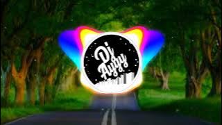 DJ DIDA DADAU X LELOLAY (Akbar Harjasaputra)