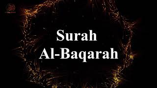 Surah Al-Baqarah Beautiful Recitation by Rzgar Kurdy