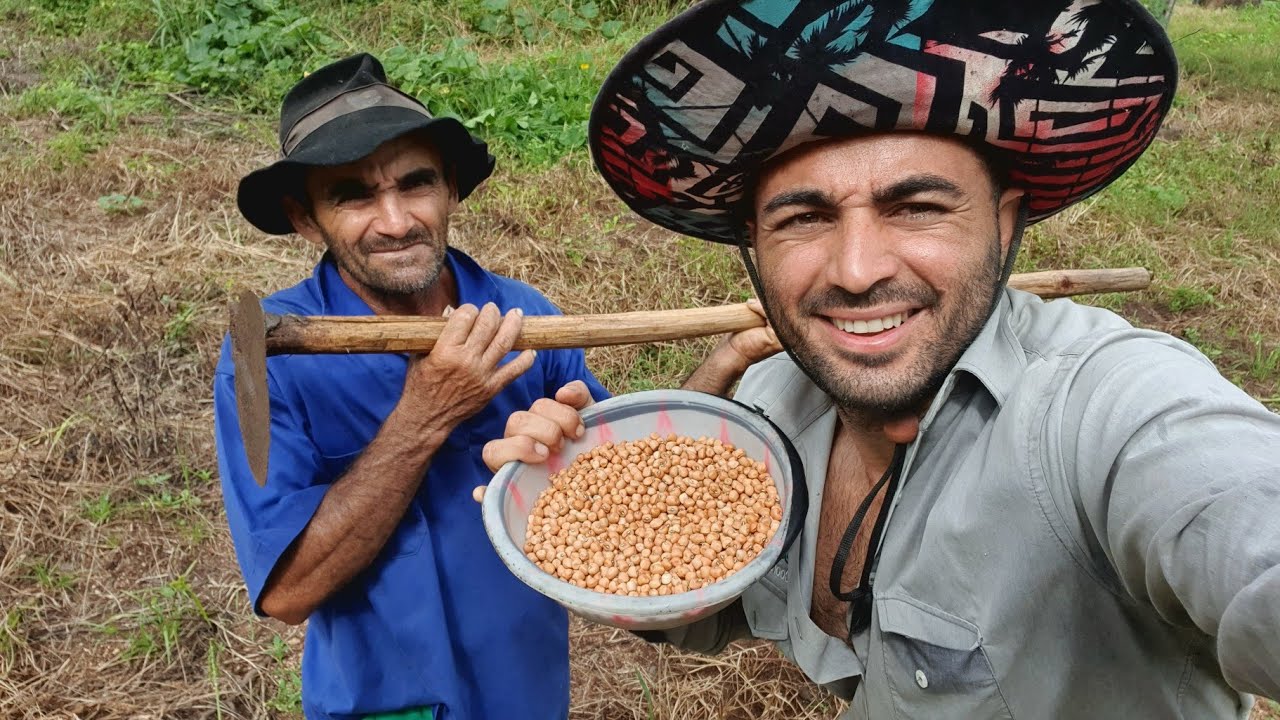 COISAS DA ROÇA COM JUNINHO GONÇALVES. PLATANDO FEIJÃO