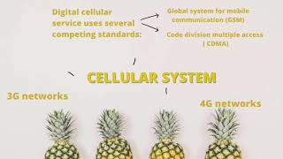 USAS : MANAGEMENT INFORMATION SYSTEM (CHAPTER 7)