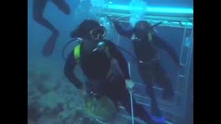 Sharks And A Vintage Frogwoman From The 80S