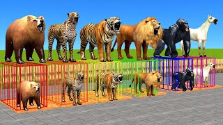 Wild Animal Games Choose The Right Iron Cage Eat Fruits Challenge With Gorilla Tiger Lion Bear Horse screenshot 3
