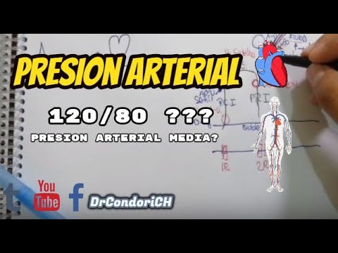 Mecanismos de regulación de presión arterial.