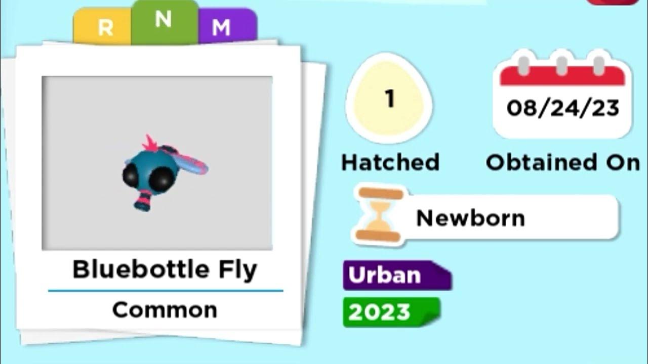 Bluebottle fly Neon & Mega Neon in Adopt me YouTube