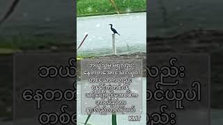 တစ်ယောက်တည်းရပ်တည်မယ်♥️#စာပေ #ဗဟုသုတ #fypyoutube #1000subscriber #shorts