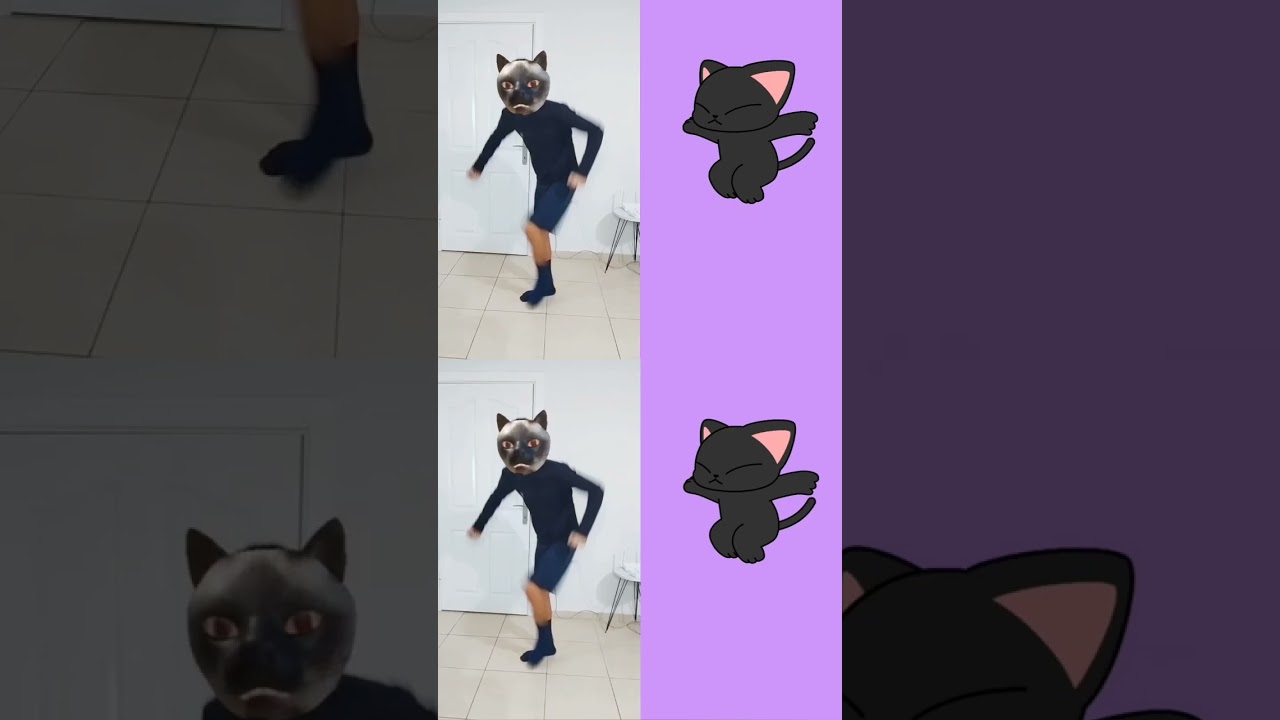 Cat is doing Slickback! 