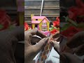 mixer grinder and  jelly #shorts #shortsfeed #shortsviral #shortvideo #ambfood