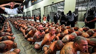 Everyone is talking about this..