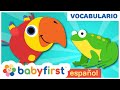 Aprende los animales con huevos sorpresa | Sonidos de Animales para Niños | Baby First TV Español