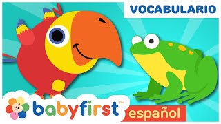 Aprende los animales con huevos sorpresa | Sonidos de Animales para Niños | Baby First TV Español