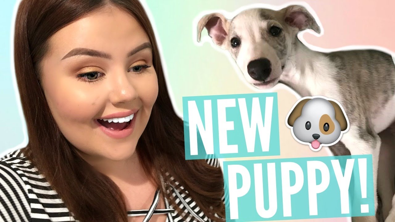 BRINGING HOME THE NEW PUPPY! | Weekly Vlog - YouTube