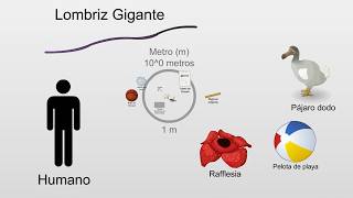 The Scale of the Universe (Flash) - Español