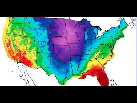 Texas is battling a rare severe winter storm with sweeping power cuts and