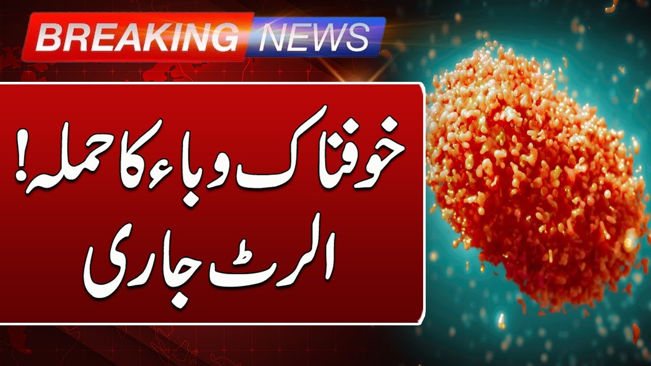 Breaking News | High Alert on Lethal Virus | Monkeypox Threat Looms ...